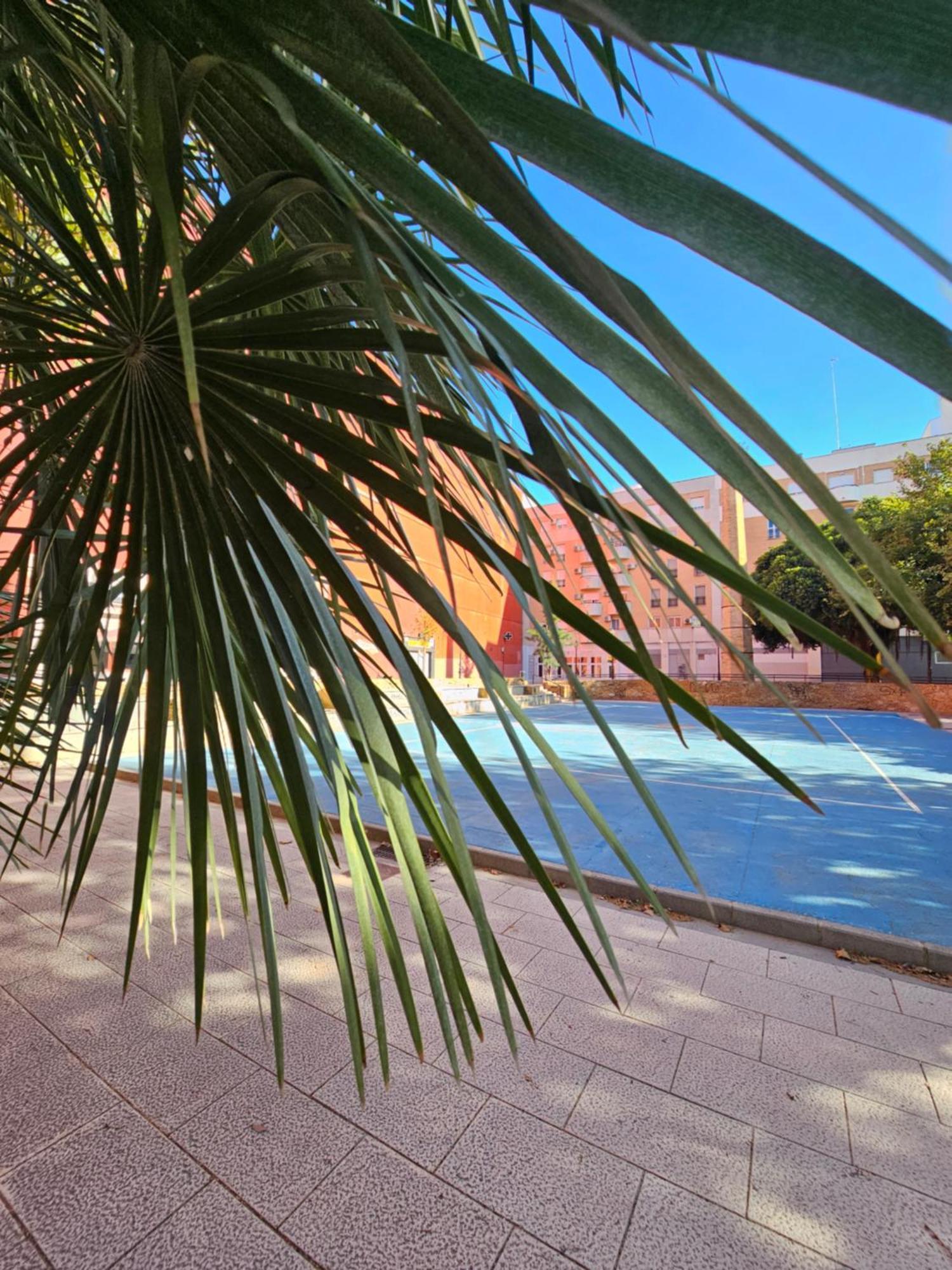 Lounge Garden Sea Mint Fresh Apartment Valencia Exterior photo